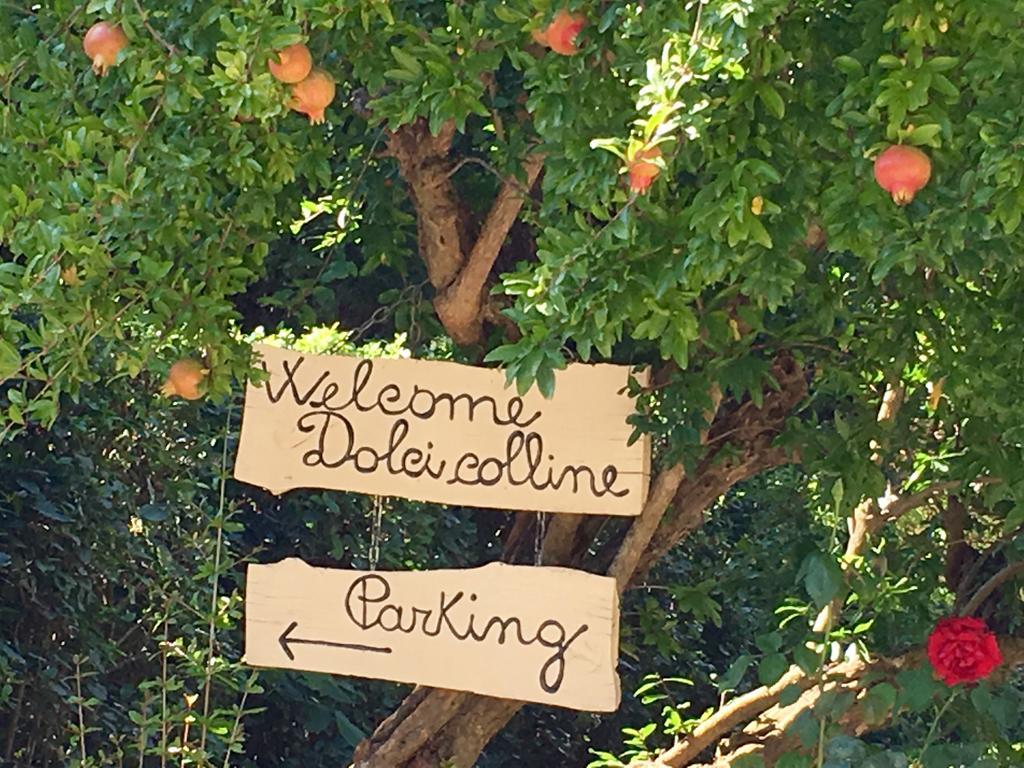 Willa Borgo Dolci Colline Castiglion Fiorentino Zewnętrze zdjęcie